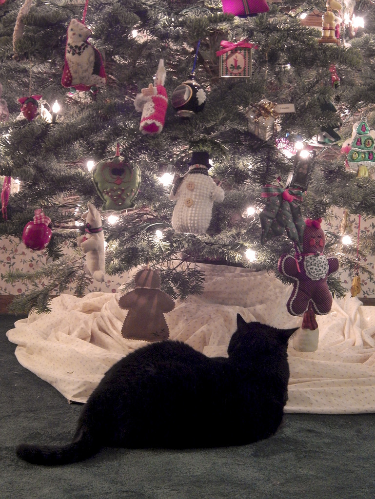 Cats Love & Admire Christmas Trees! by Weezilou