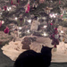 Cats Love & Admire Christmas Trees! by Weezilou