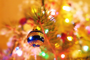 21st Dec 2014 - Christmas Tree