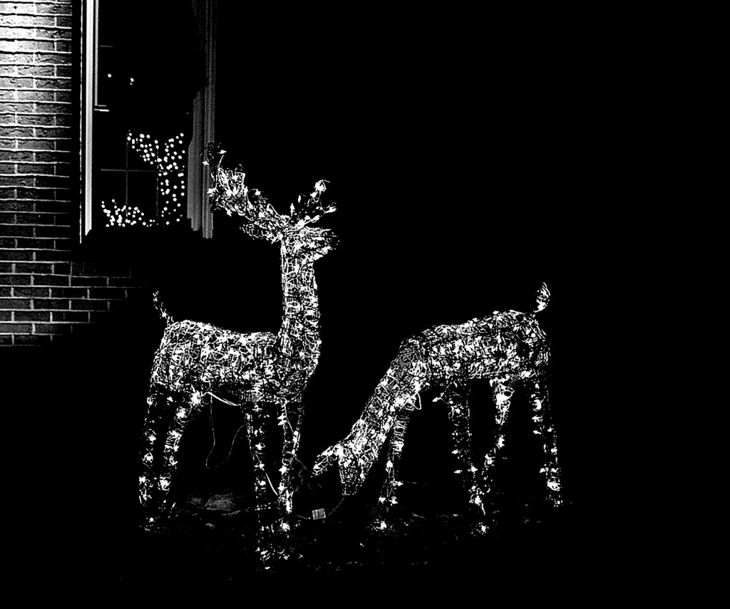 Santa's Reindeer by soboy5