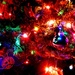 A Colourful Christmas to you All!  by fishers