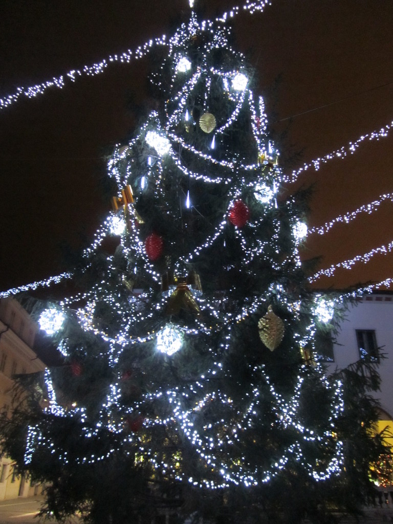 Christmas tree at Koper by nami