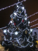 23rd Dec 2014 - Christmas tree at Koper