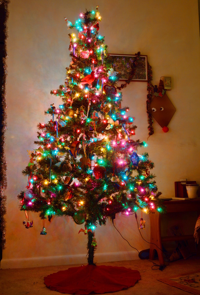 Christmas Tree by francoise