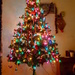 Christmas Tree by francoise