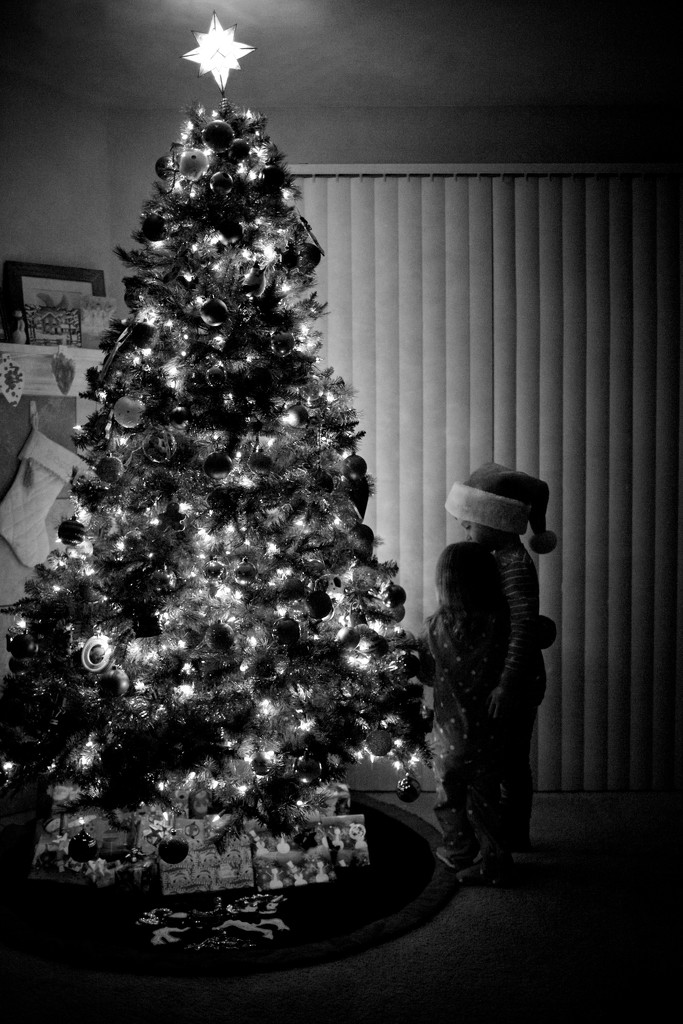 Merry Christmas by tina_mac