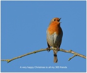25th Dec 2014 - A very happy Christmas to my 365 friends