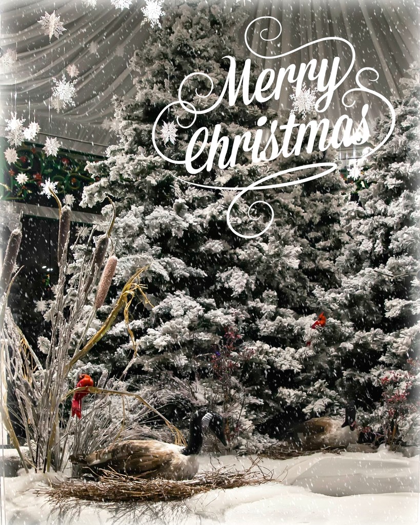 Merry Christmas by lynne5477