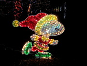 24th Dec 2014 - Snoopy In Lights