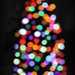 out of focus Christmas tree  by edie