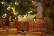 25th Dec 2014 - Presents under the tree