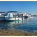 Paphos Harbour, Cyprus  by carolmw