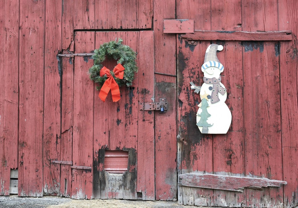 Holiday 26 - Decorated barn door by mittens