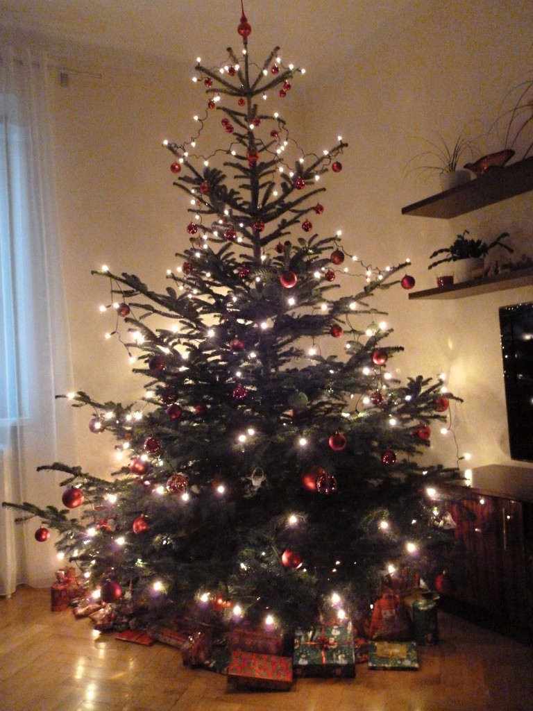 Christmas tree :) by gabis