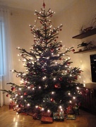 24th Dec 2014 - Christmas tree :)