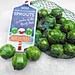 North pole  Brussels Sprouts by wendyfrost
