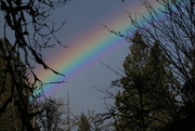 17th Dec 2014 - Rainbow