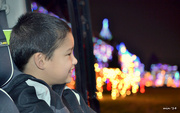 26th Dec 2014 - Christmas Lights Sightseeing