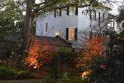 27th Dec 2014 - Illuminated autumn trees, historic district, Charleston, SC