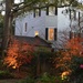 Illuminated autumn trees, historic district, Charleston, SC by congaree