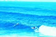 27th Dec 2014 - Surf in Hawai.