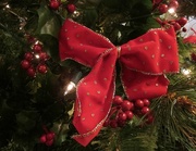 27th Dec 2014 - Holiday 27 - Festive bow