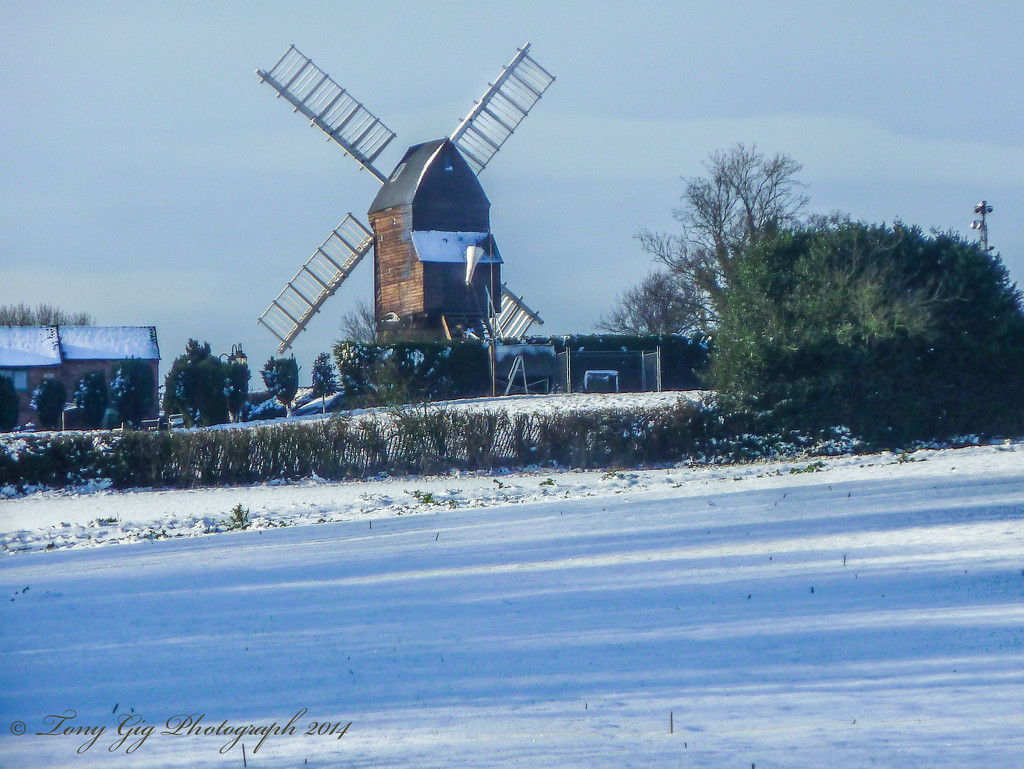Windmill In The Snow  by tonygig