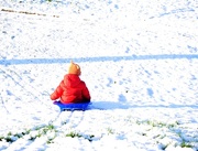 27th Dec 2014 - Sledging for the first time.