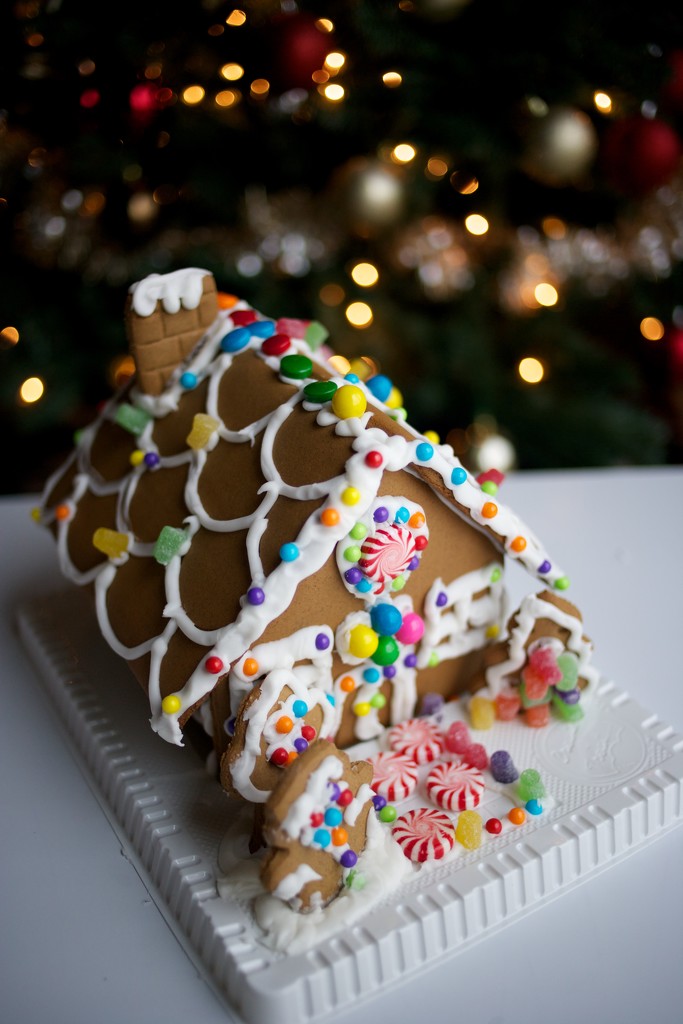 "Real" Gingerbread House by tina_mac