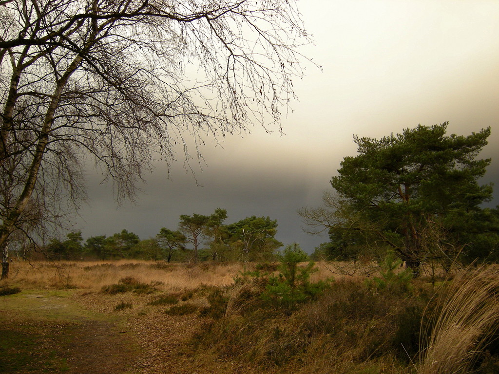 Dark clouds on waste land by pyrrhula