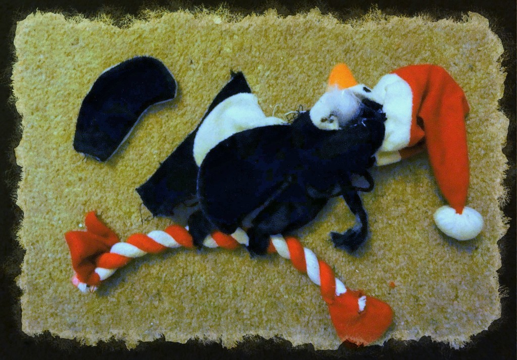 The demise of the Christmas Penquin . by beryl