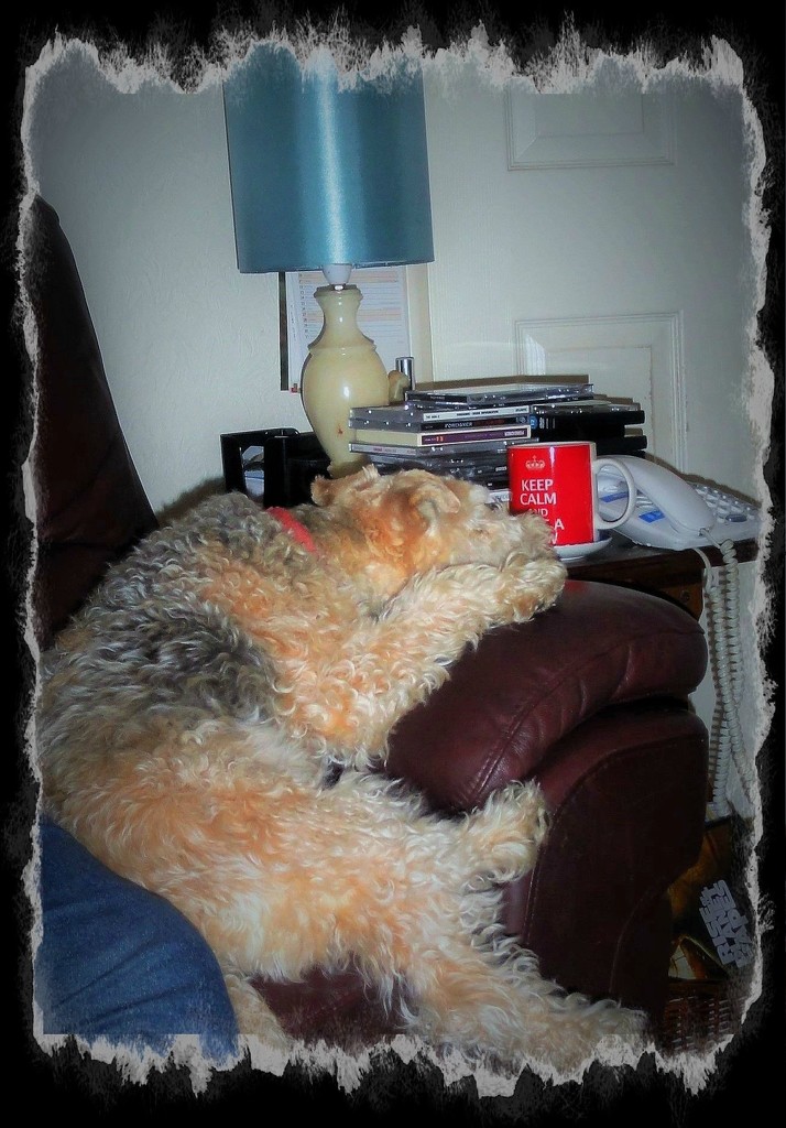 Tired out !!! by beryl