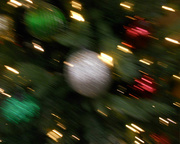 28th Dec 2014 - Christmas tree