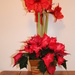 Christmas flowers. by hellie