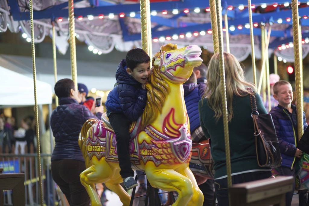 Last Week For The Carousel Rides by seattle