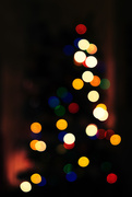 23rd Dec 2014 - Day 357, Year 2 - The Bokeh Tree