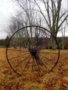 30th Dec 2014 - Antique hay rake