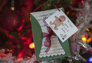 26th Dec 2014 - Christmas Tree Gift