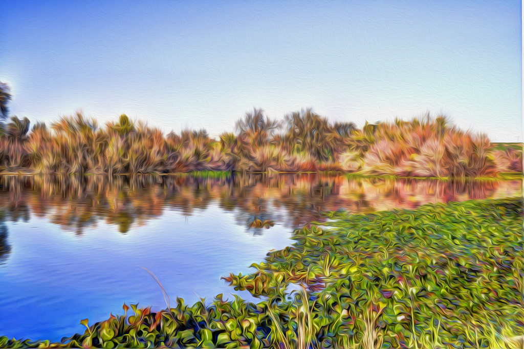 Quiet River by joysfocus