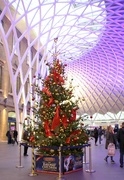 22nd Dec 2014 - Kings Cross Station