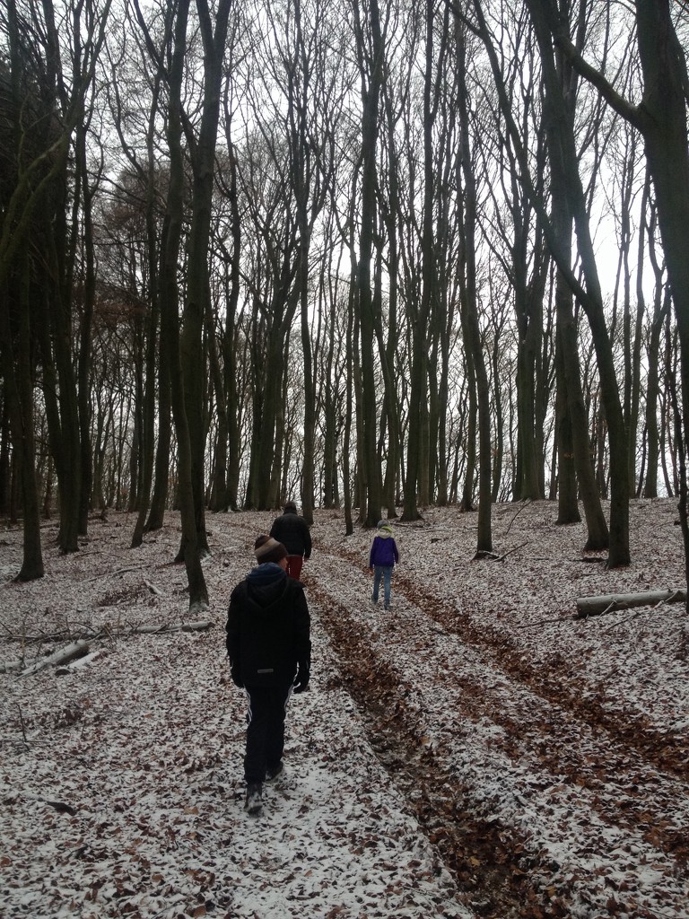 Winter Wonderland by justaspark
