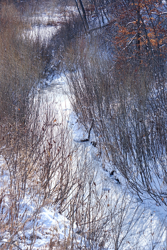 A Small Stream in Winter by tosee