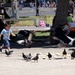 Chasing Pigeons: option 2 by jyokota