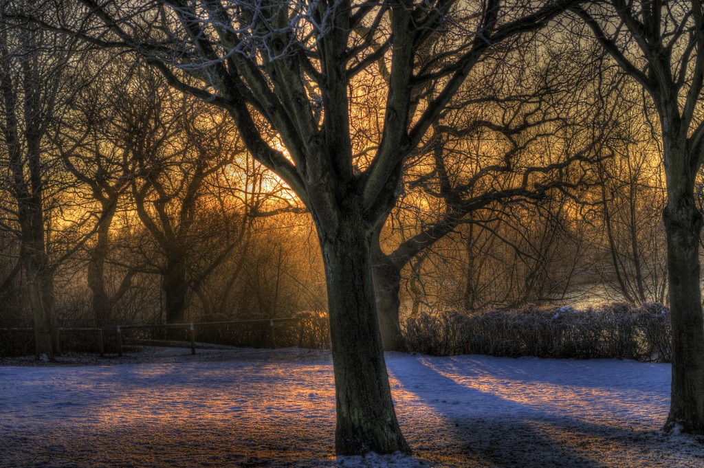 Winter Morning Sun  by tonygig