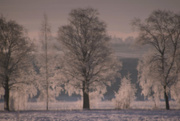 29th Dec 2014 - Days of winter II