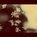 It was snowing when I met you, now I´m trying to forget you by susale