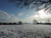 30th Dec 2014 - Wintry view