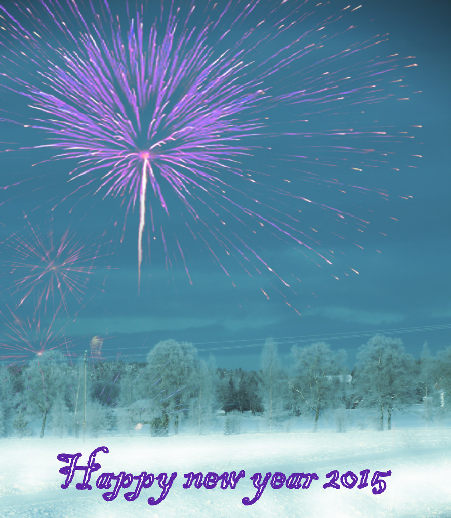 Happy new Year to all of my 365 friends! by susale