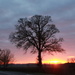 Cambridgeshire sunset by busylady