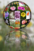 31st Dec 2014 - 3D Flower Ball 